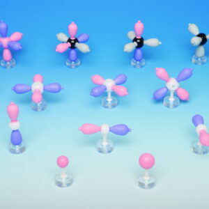 Spiring Enterprises Limited Molecular Model Set Introductory Set 48 Atoms 62 Links