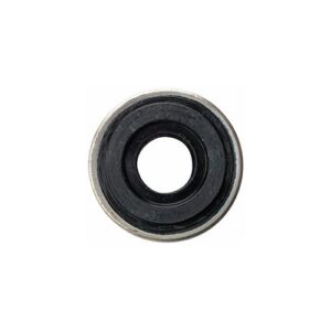 Oxygen Regulator – Bodok Seal