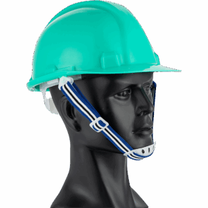 Chinstrap