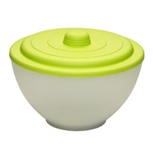 Salad Bowl & Lid