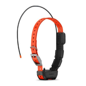 AlphaÂ® Tt 25 Dog Collar