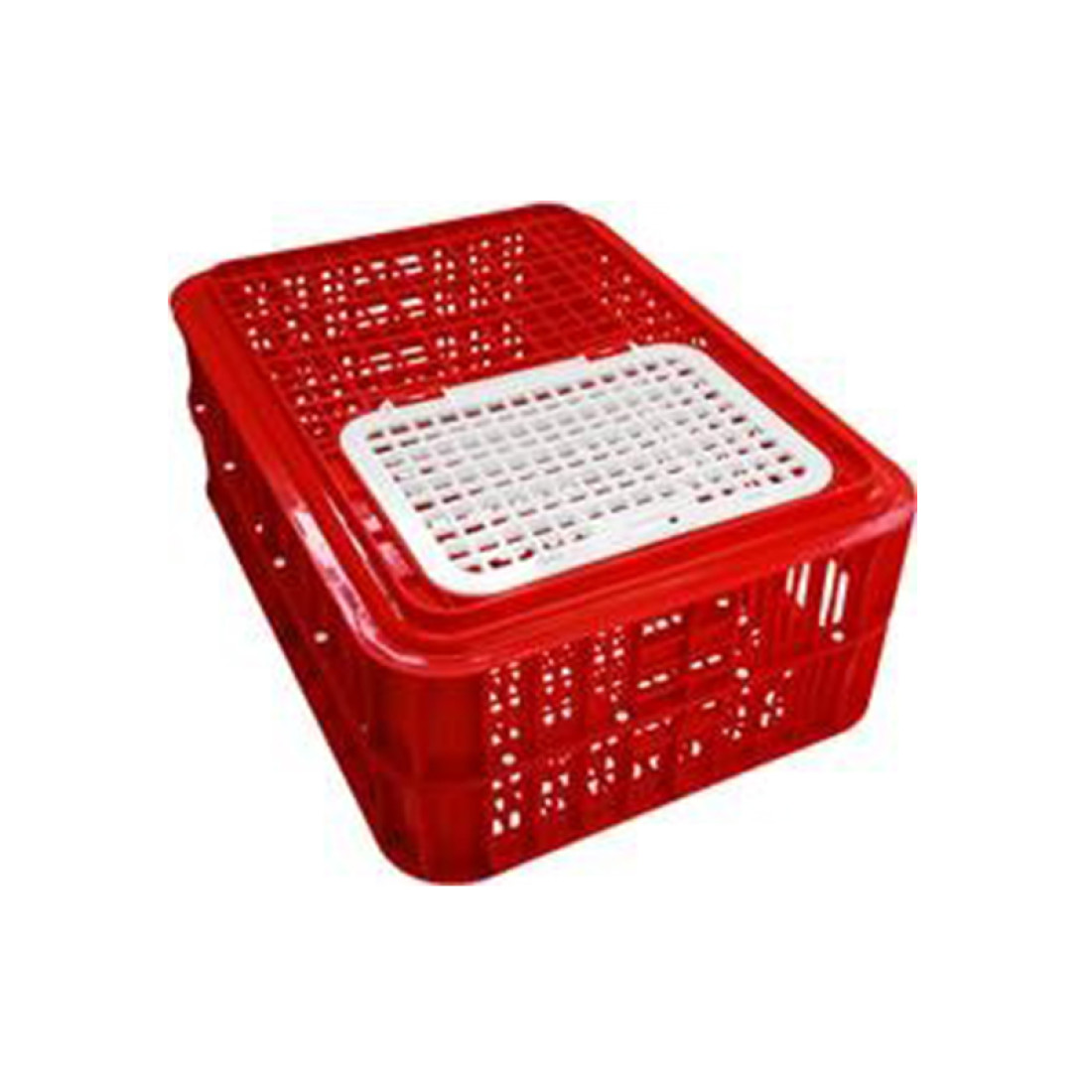 Poltek Crate Classic Live Bird Cage Red 10 Birds - Image 2