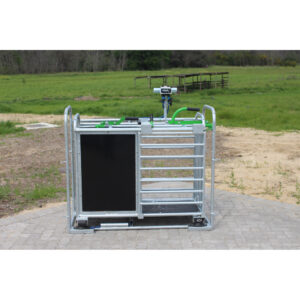 B-45 Multi-Function Obstetric Bed