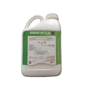 Versus 5L