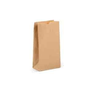 Extra Small Plain Paper Bag