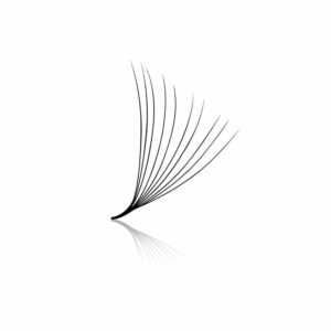 10D Pre-made Volume Fans - Loose 500's