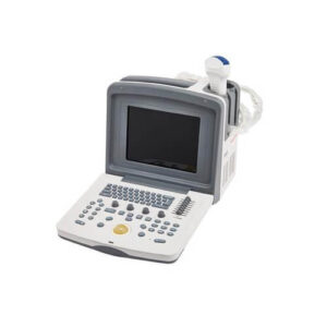 Ultrasound 9618 Veterinary Model
