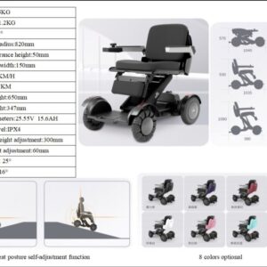 Mobility Robot