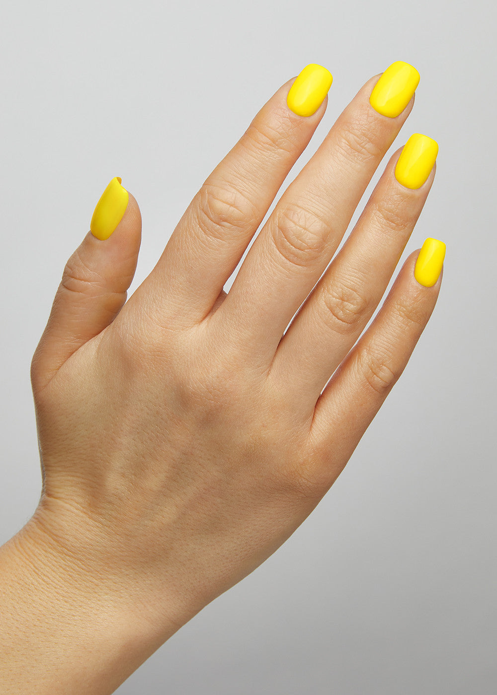 Fries Hema-Free Paint - Image 2