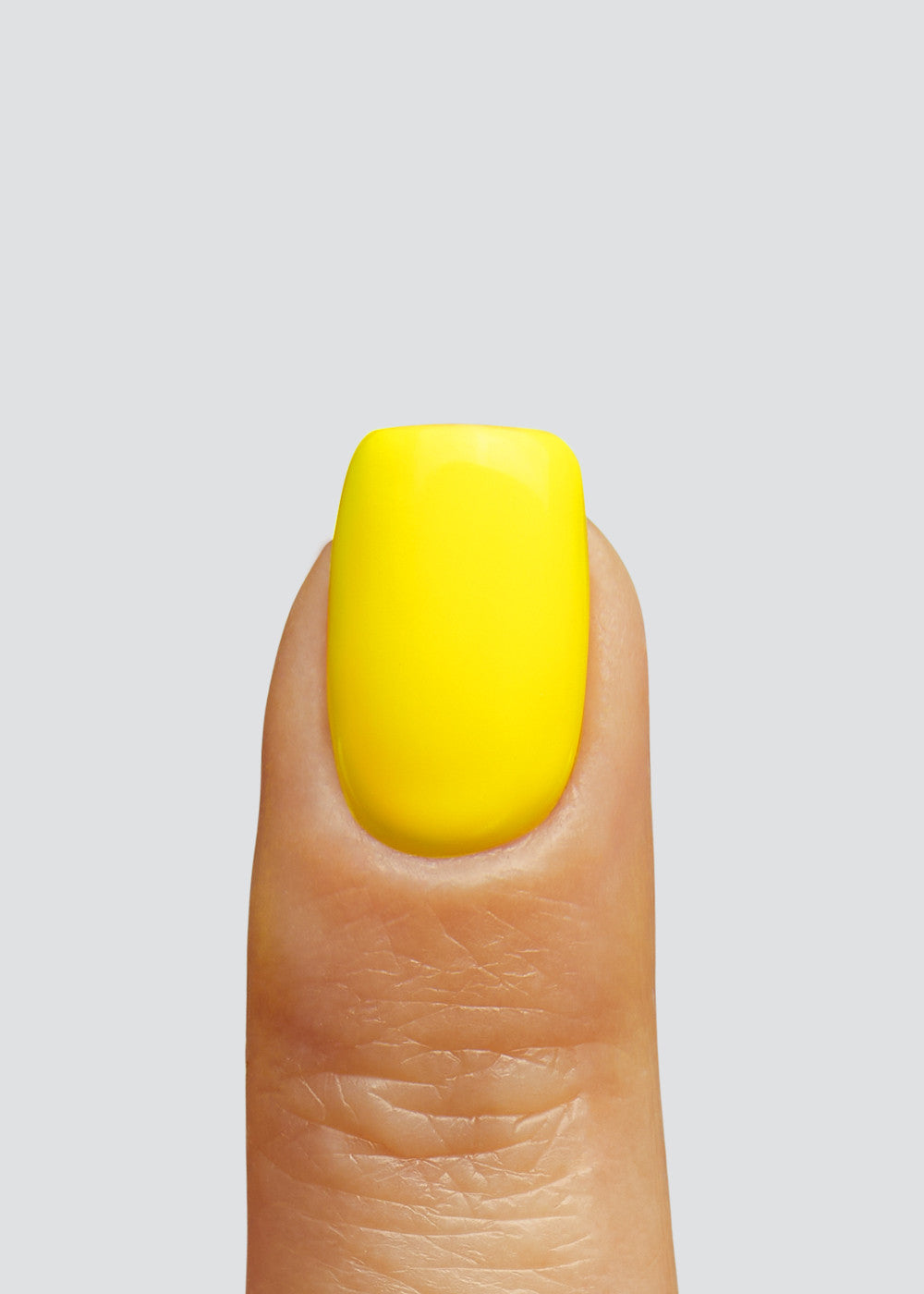 Fries Hema-Free Paint - Image 3