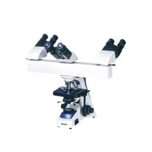 Import placeholder for 60592